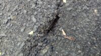 IMG-20230731-WA0072