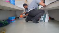 IMG-20241014-WA0080