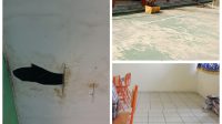 IMG-20241120-WA0004