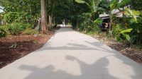 IMG-20241122-WA0001