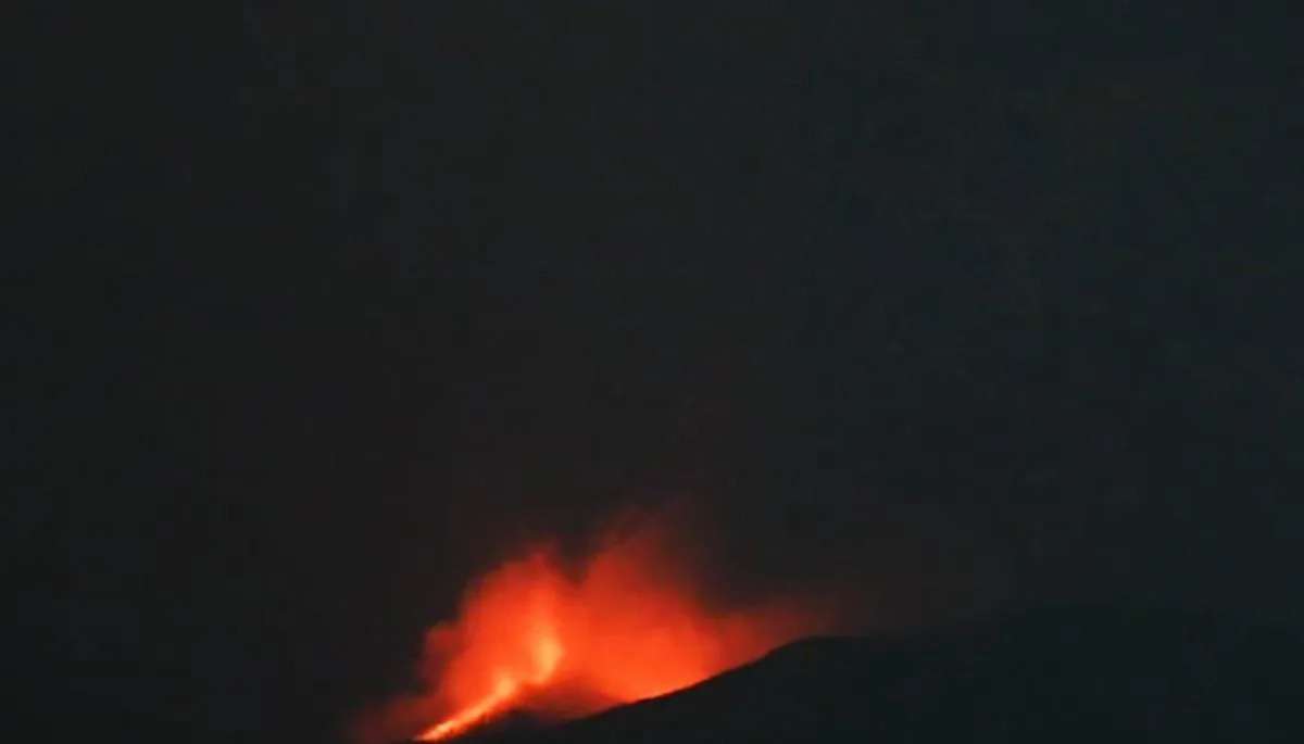 image (12)