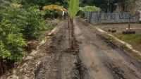 IMG-20250204-WA0021-772x445