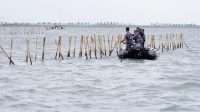 tni-al-dan-kkp-kembali-bongkar-pagar-laut-di-tangerang-7_169